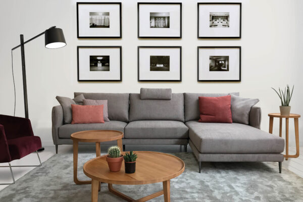 Contemporary elegant living room, leather sofa, white wood floor